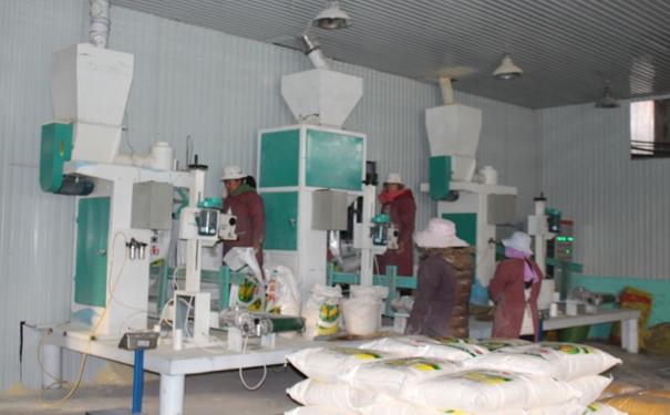 日產(chǎn)30噸玉米加工設(shè)備多少錢(qián)?點(diǎn)擊在線(xiàn)咨詢(xún)，即刻獲取優(yōu)惠報(bào)價(jià)